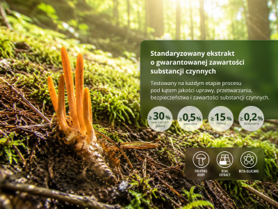 Cordyceps Premium, BIO (≥30% beta-glukanów) - Suplement diety. Podwójny ekstrakt z grzybni Cordyceps sinensis w jakości BIO. - 6