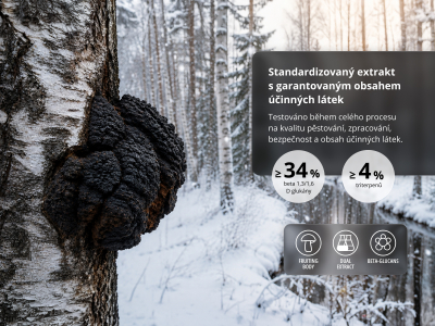 Chaga Premium, BIO (≥34% betaglukanů) - Doplněk stravy.  Duální extrakt ze sklerocia rezavce šikmého v BIO kvalitě. - 5