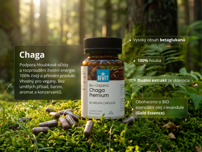 Chaga Premium, BIO (≥34% betaglukanů) - Doplněk stravy.  Duální extrakt ze sklerocia rezavce šikmého v BIO kvalitě. - 4