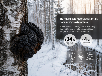 Chaga prémium, BIO (≥34% bétaglükán) - Étrend-kiegészítő. Kettős kivonat a ferde likacsosgomba (Inonotus obliquus) szkleróciumából, BIO minőségben. - 5