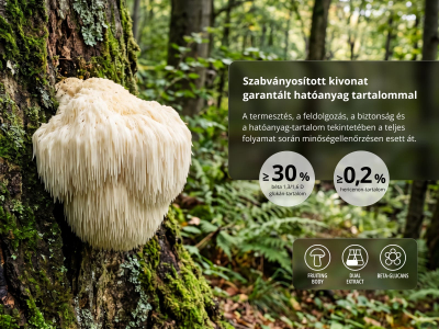 Lion´s Mane Premium, BIO ( ≥30 % bétaglükán) - Étrend-kiegészítő. Oroszlánsörény termőtestek kettős kivonata BIO minőségben. - 5