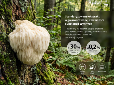 Lion´s Mane Premium, BIO (≥30 % betaglukanów) - Suplement diety. Podwójny ekstrakt z owocników Lion's Mane w jakości BIO. - 5