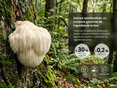 Lion´s Mane Premium, BIO (≥30 % betaglucani) - Supliment alimentar. Extract dual din corpul fructifer al ciupercii Lion's Mane, de calitate BIO. - 4