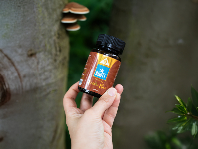 PRAWTEIN Reishi Plus - Supliment alimentar - 2