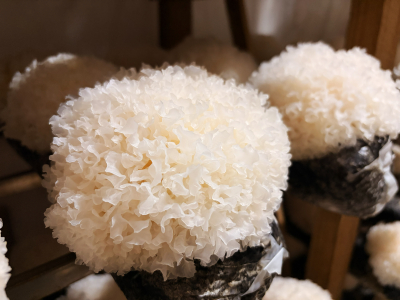 Tremella, BIO - Toidulisand - 8