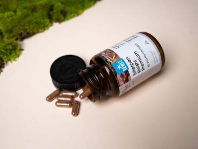 Reishi Triterpene Premium (≥ 10% triterpenoids) - Food supplement, dual extract from fruiting bodies - 9