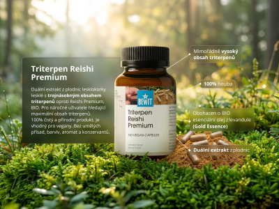 Triterpen Reishi Premium (≥ 10 % triterpenoidů) - Doplněk stravy, duální extrakt z plodnic - 3