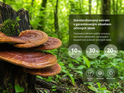 Triterpen Reishi Premium (≥ 10 % triterpenoidů) - Doplněk stravy, duální extrakt z plodnic - 4