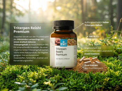 Triterpen Reishi Premium (≥ 10 % Triterpenoide) - Nahrungsergänzungsmittel, dualer Extrakt aus Fruchtkörpern - 3