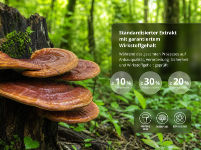 Triterpen Reishi Premium (≥ 10 % Triterpenoide) - Nahrungsergänzungsmittel, dualer Extrakt aus Fruchtkörpern - 4