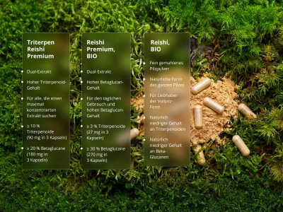 Triterpen Reishi Premium (≥ 10 % Triterpenoide) - Nahrungsergänzungsmittel, dualer Extrakt aus Fruchtkörpern - 5