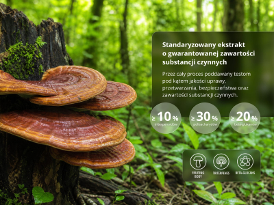 Triterpen Reishi Premium (≥ 10 % triterpenoidów) - Suplement diety, podwójny ekstrakt z owocników - 4