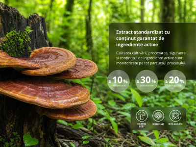Triterpen Reishi Premium (≥ 10 % triterpenoide) - Supliment alimentar, extract dual din corpurile fructifere - 4