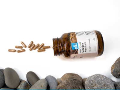 Maitake Premium, BIO (≥ 35 % betaglukanů) - Doplněk stravy, duální extrakt z plodnic maitake v BIO kvalitě. - 5