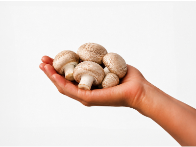 Agaricus, BIO - Toidulisand - 3