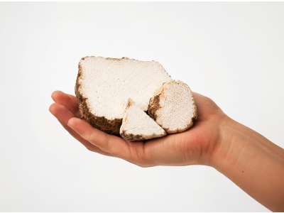 Poria Premium, Organic (≥ 30% Beta-Glucans) - Food supplement. Dual extract of Poria fruiting bodies in organic quality. - 3