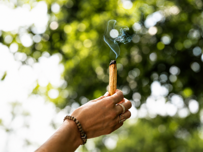 Palo Santo prémium pálca - Füstölők és gyanták - 7