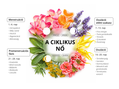 Ciklikus nő - Tematikus készlet - 2