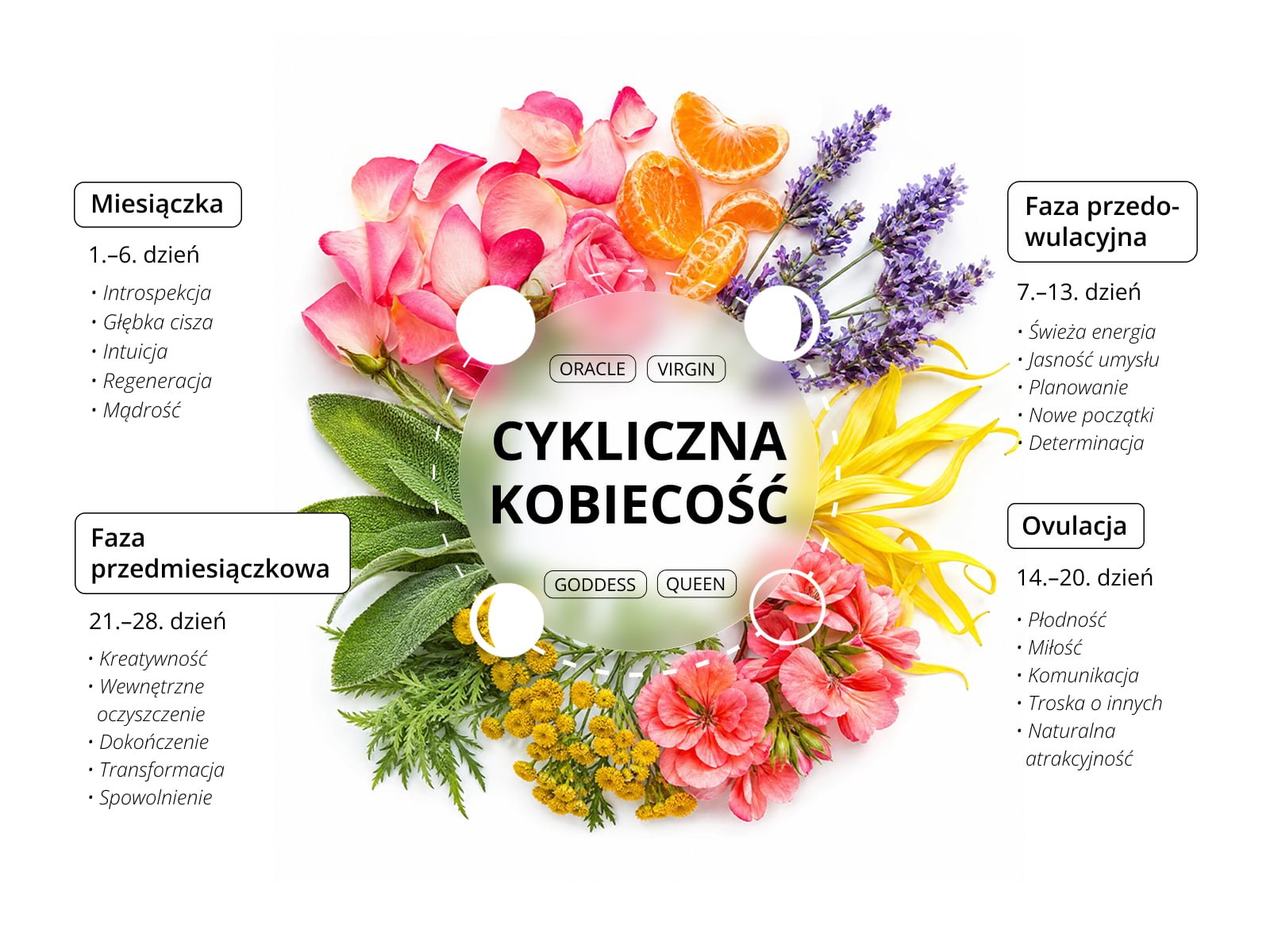Cyclical Woman