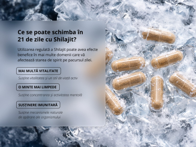 Shilajit Elite (70 % acid fulvic) - Supliment alimentar - 4
