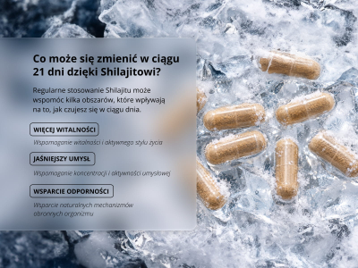 Shilajit Elite (70% kwasu fulwowego) - Suplement diety - 4