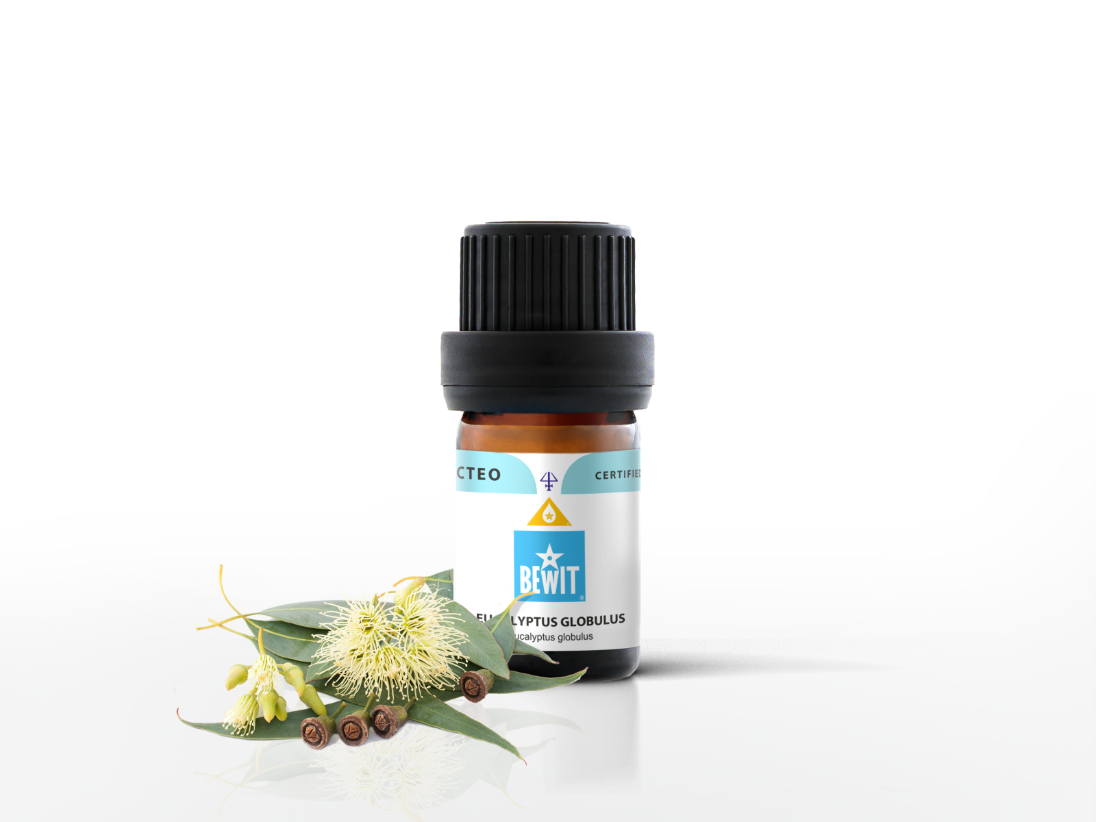 BEWIT Eucalyptus globulus - This is a 100% pure essential oil - 2