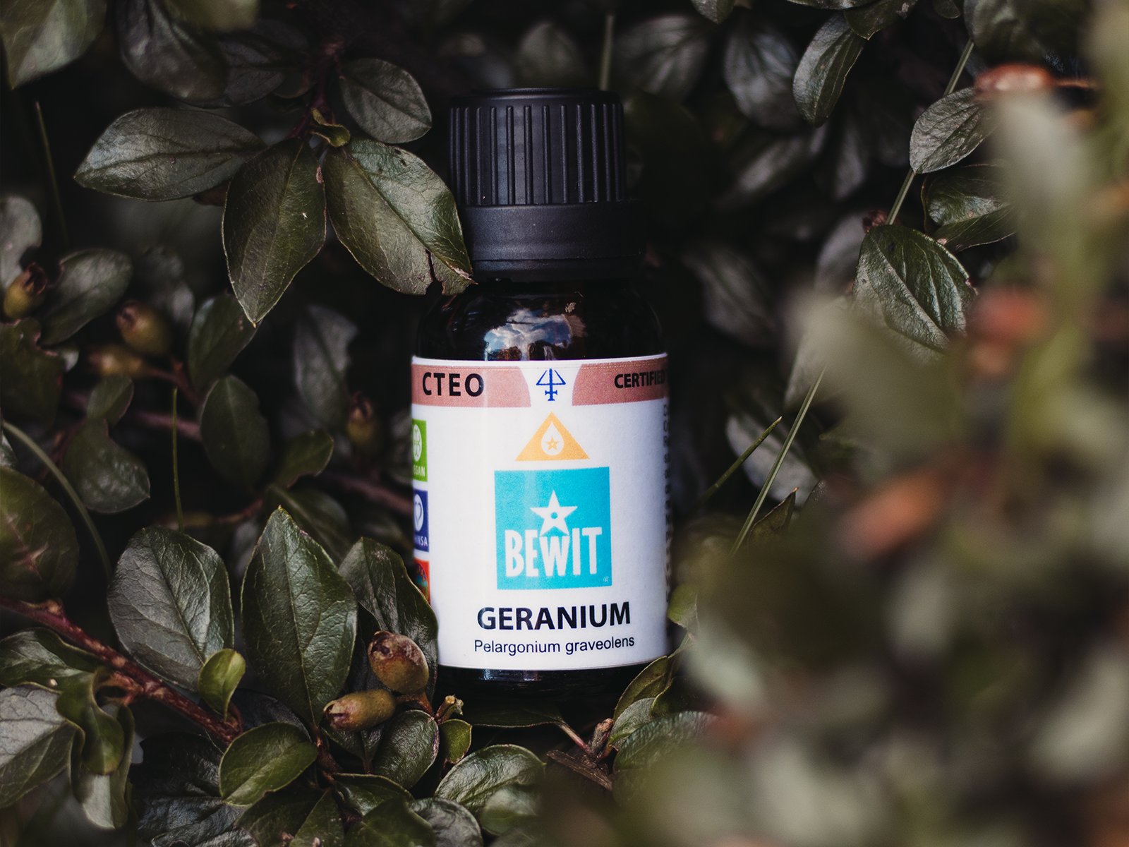 BEWIT Geránium - 100% pure essential oil - 5