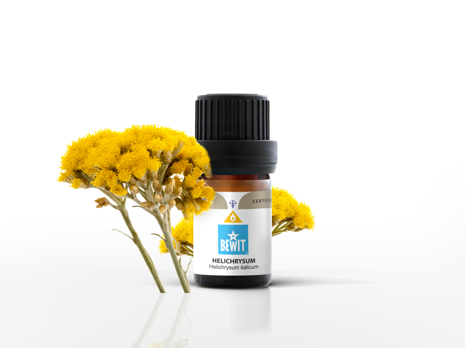 BEWIT Helichrysum italicum (curry plant) - 100% pure essential oil - 1