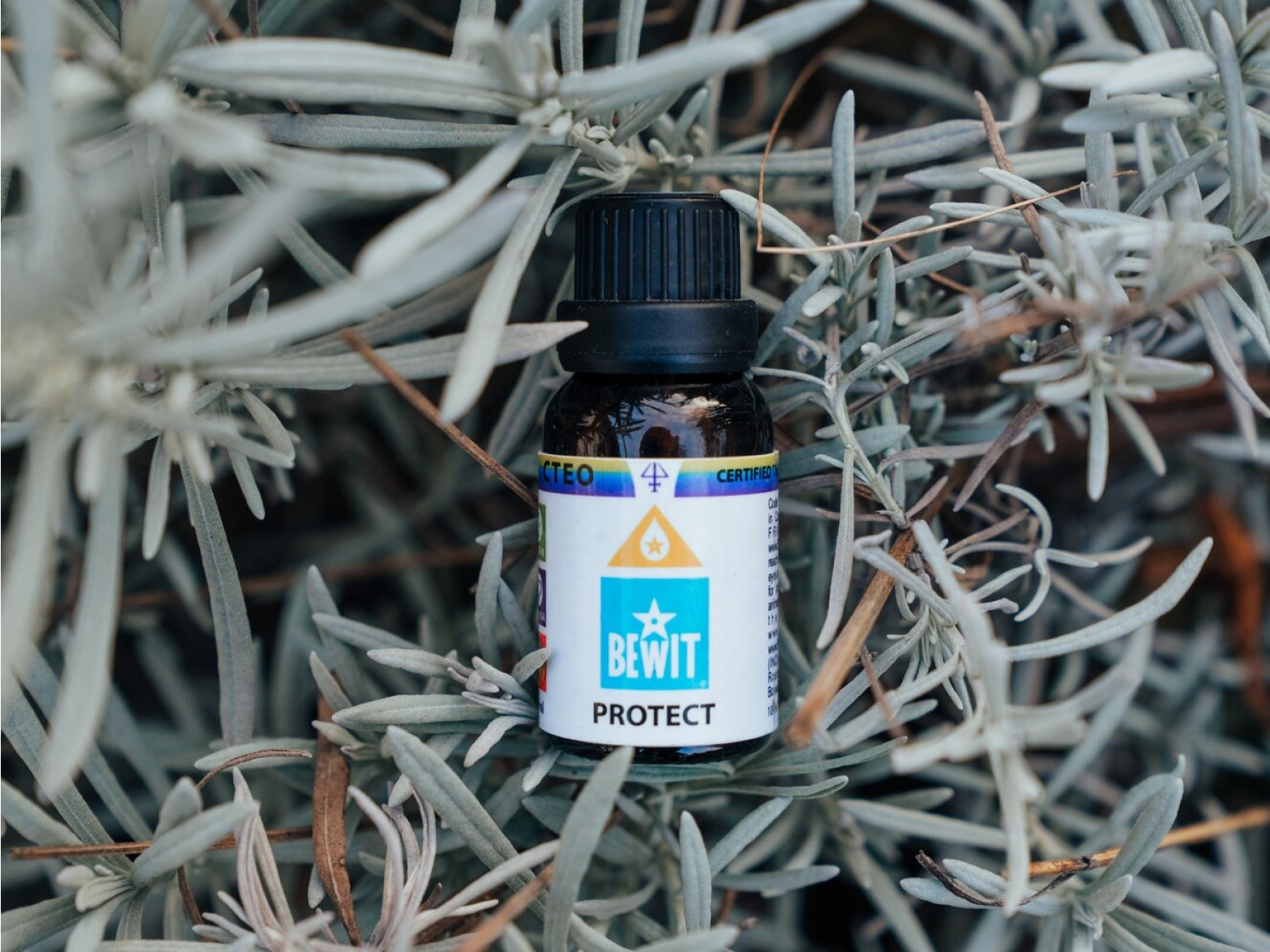 BEWIT PROTECT - 100% přírodní směs CTEO® esenciálních olejů - 3
