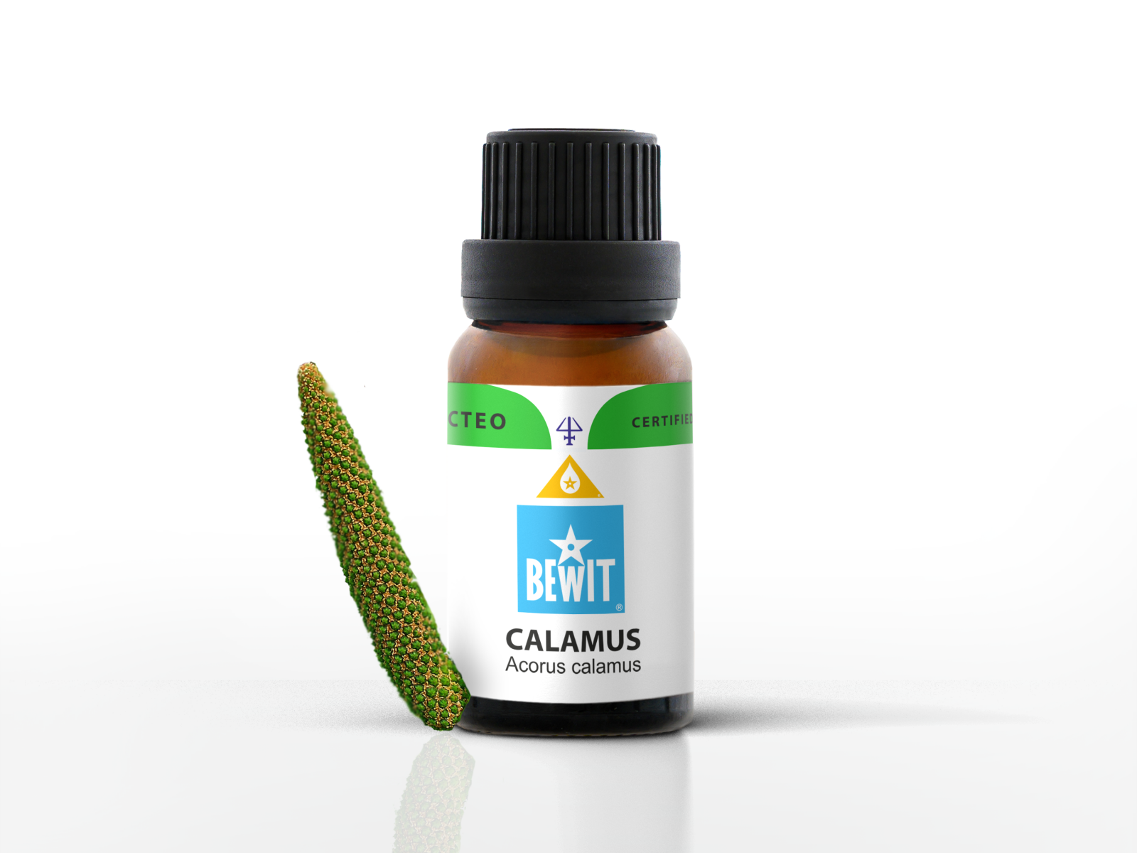 Calamus - 100% pure essential oil - 1