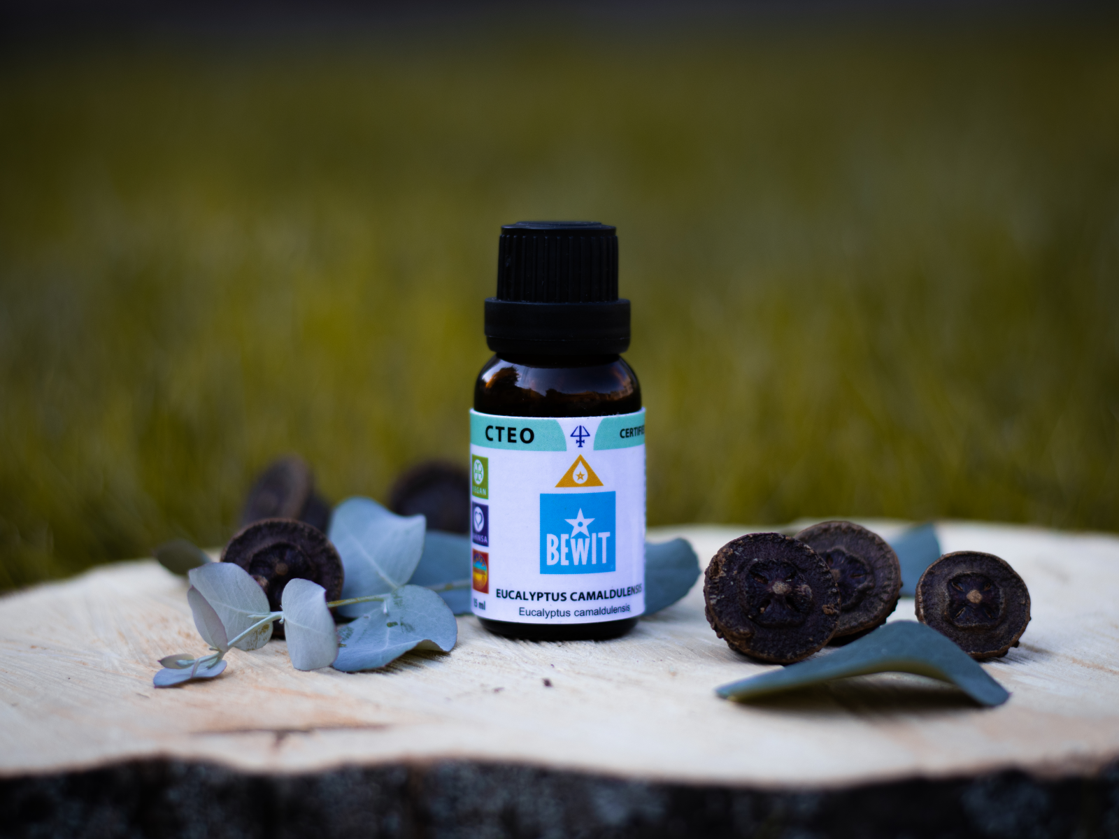 Eucalyptus Camaldulensis - 100% pure essential oil - 8