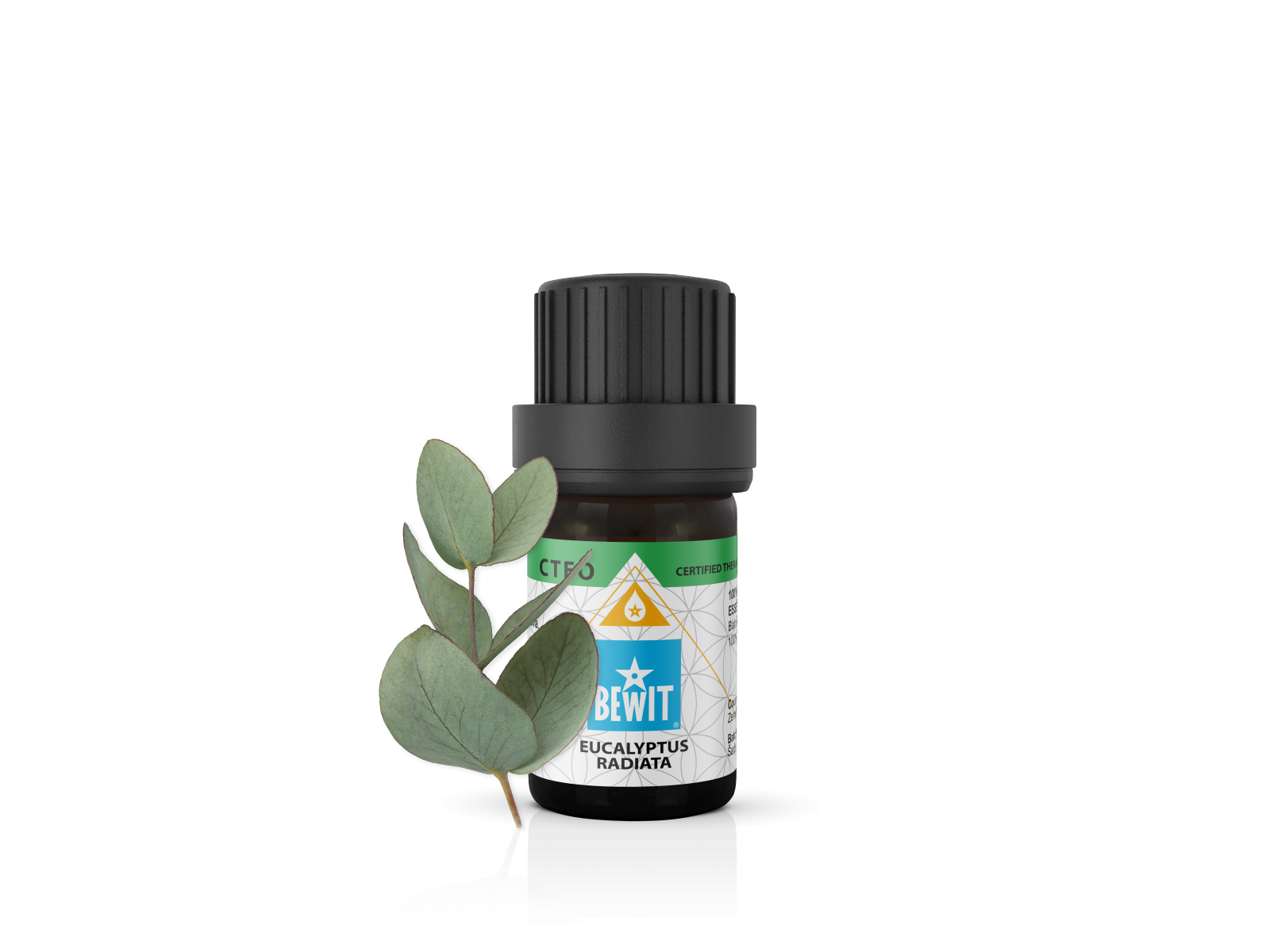 Eucalyptus Radiata - 100% pure essential oil - 2