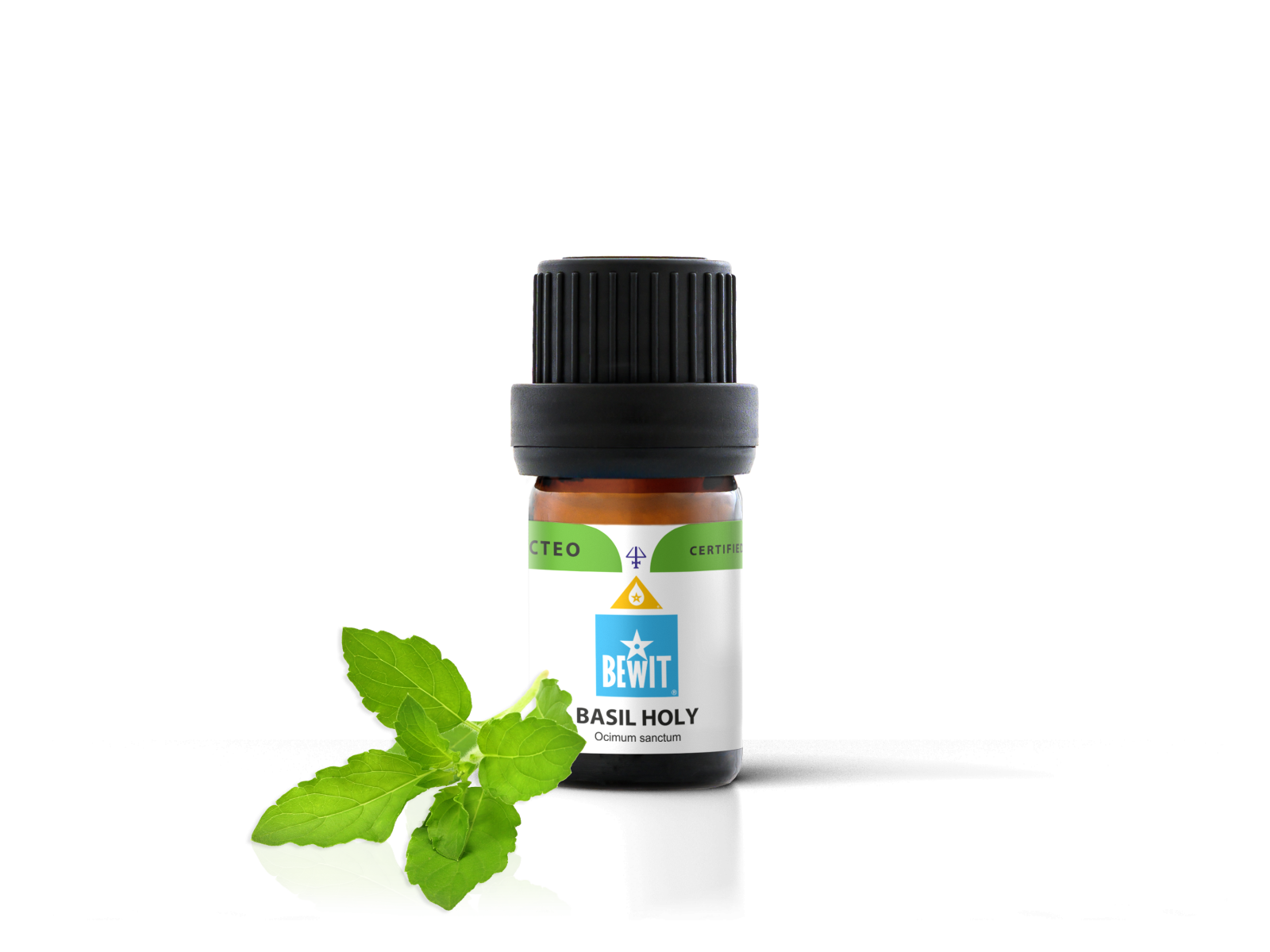 Holy Basil (Tulsi) - 100% pure essential oil - 2