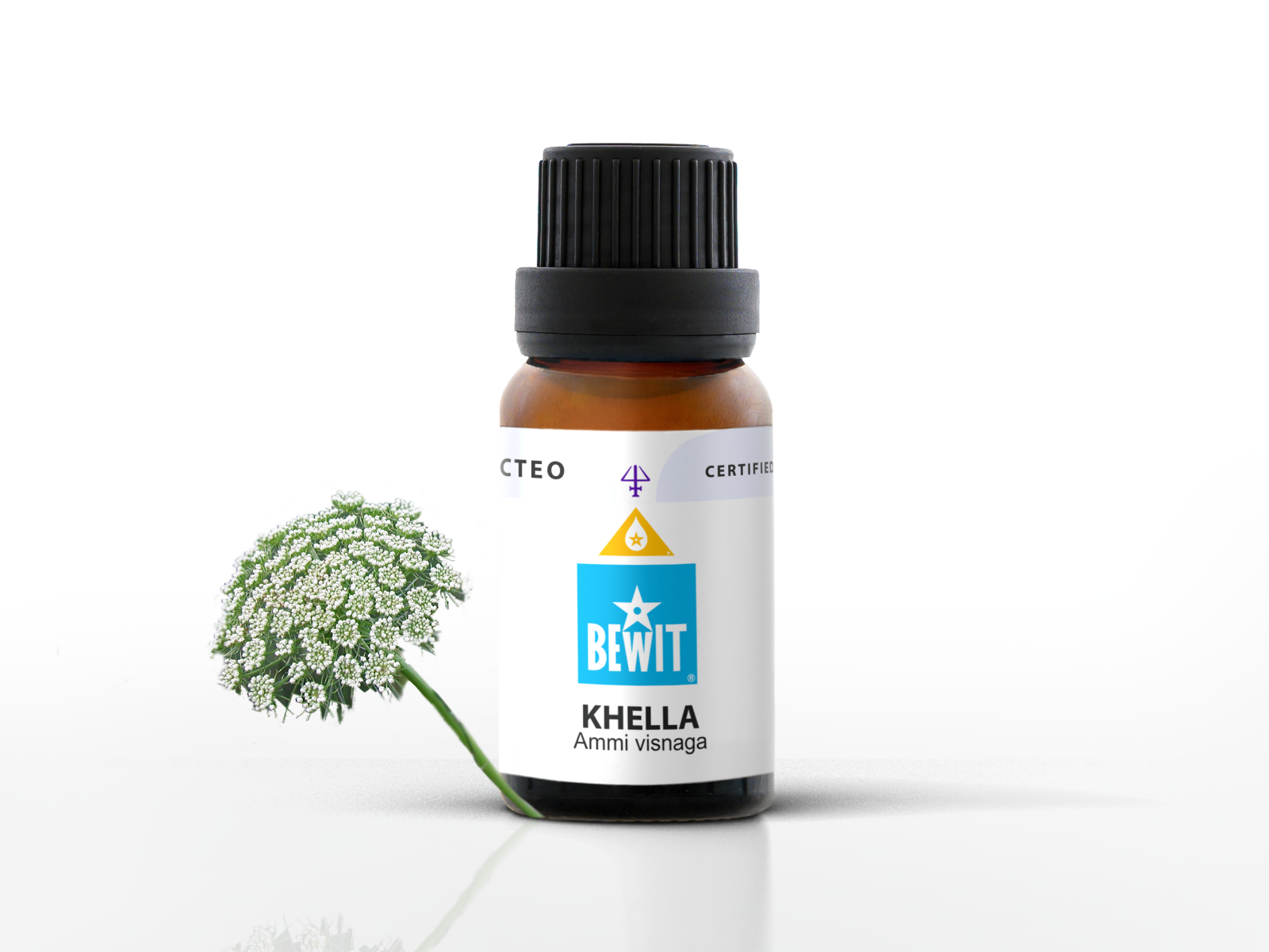 Khella - 100% pure essential oil