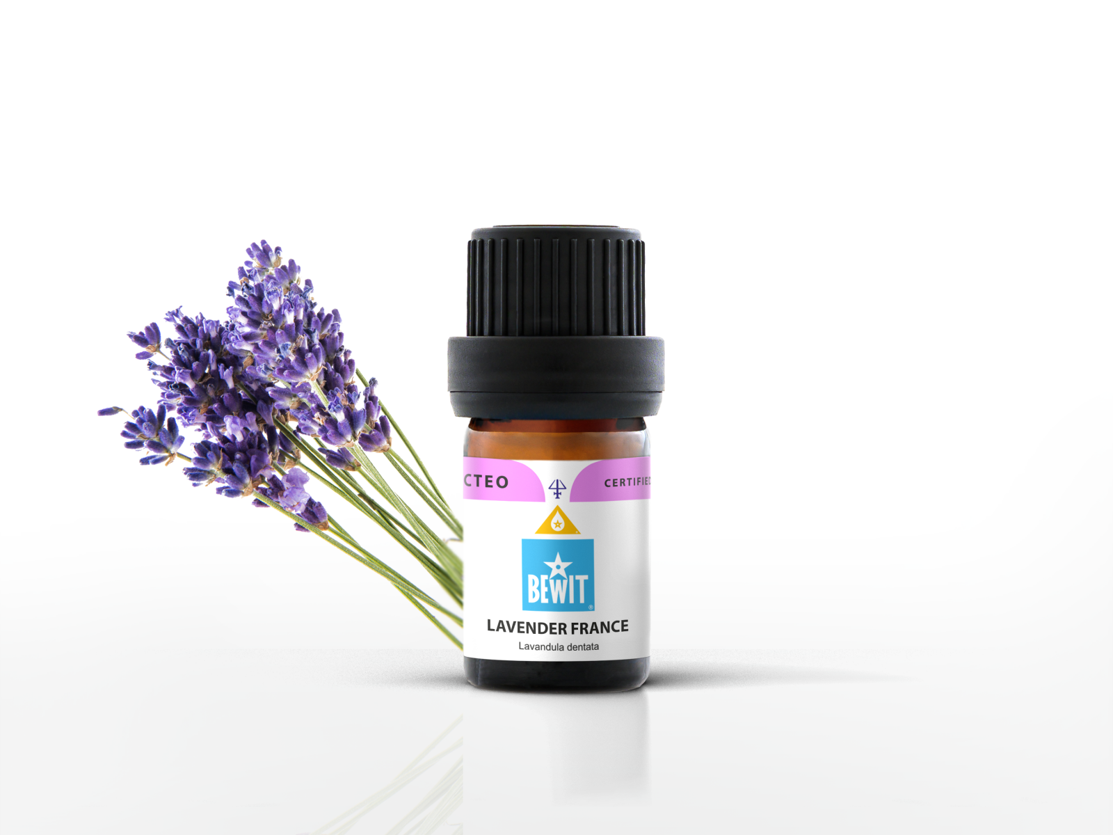 Lavender (France) - 100% pure essential oil - 2