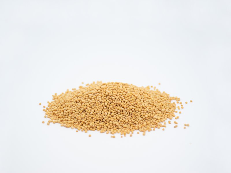 Organic yellow mustard seeds -  - 4