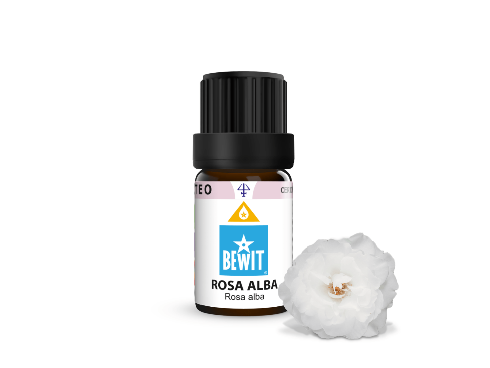 White Rose - 100% pure essential oil