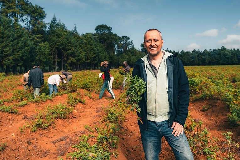 Nous disposons de sources et de fournisseurs de la plus haute qualité